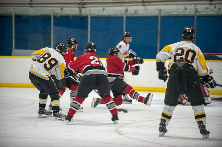 DSC_7232.jpg